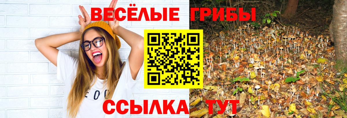 Псилоцибиновые грибы Cubensis Щёлково